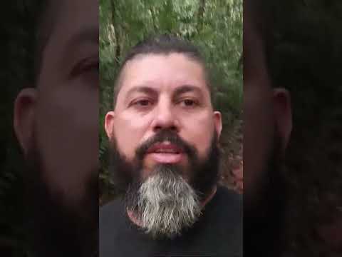 Nós descendo a trilha para conhecer o famoso Jequitibá na cidade de Divisa Nova Minas Gerais