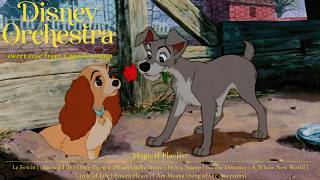 So This Is Love in a Quiet Backyard | Soft Disney Orchestra Playlist for Reading 📖