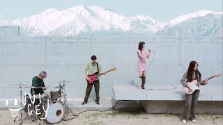 pami - grey on concrete