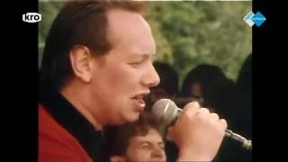 JOE JACKSON - BEAT CRAZY Live at PINKPOP (1980)