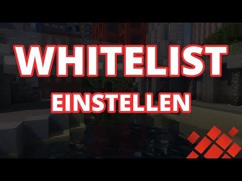 Set whitelist on Minecraft server |  Minehub.de