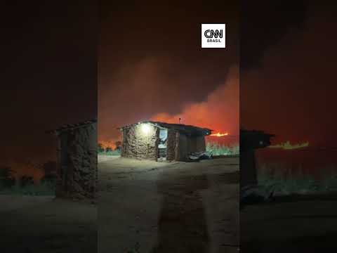 Dois incêndios atingem áreas de mata em Minas Gerais