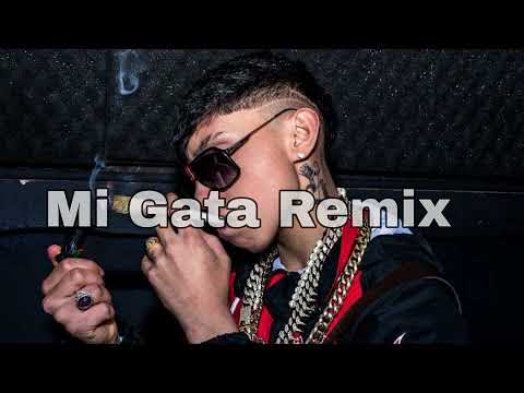 Mi Gata Remix - FT Standly - Barto - Marcianeke