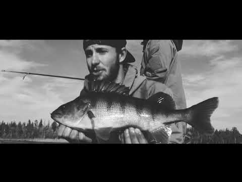 Perch Madness II - Teaser