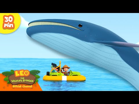 Witness21 Editor  2024 09 12