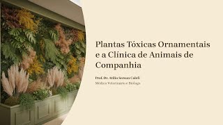 Toxic ornamental plants in veterinary medicine #profilology #toxicology #vet