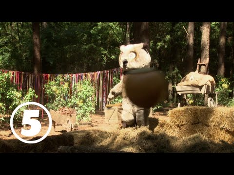 Kycklingen är snuskig och antastar hjorten