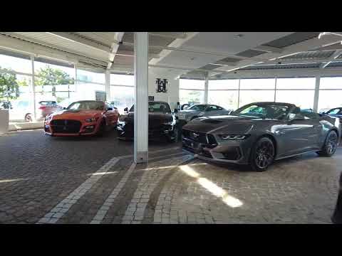 HCC-International House-of-Mustang