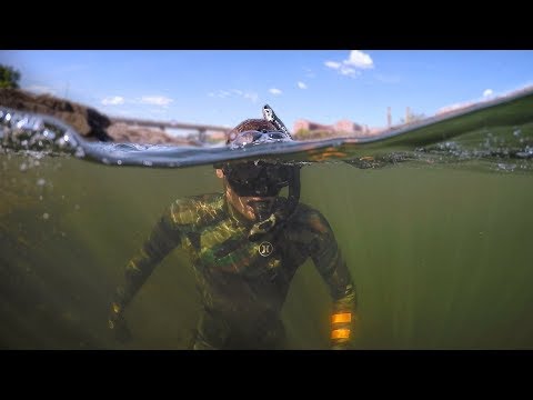 Found Boat Motor and Anchors while Swimming in River! (Freediving) | DALLMYD