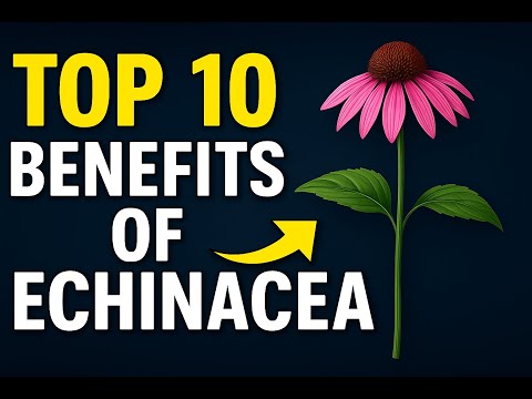Top 10 Benefits of Echinacea | PureCare 🌸