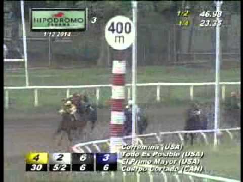 3RA CARRERA DOMINGO 12 DE ENERO DE 2014 HPR