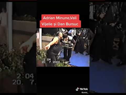 ADRIAN MINUNE, VALI VIJELIE ȘI DAN BURSUC la începutul lor #tiktok #tv