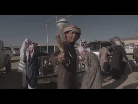 Saudi man with a falcon perching on hand in a bird market, Najran Province, Najran, Saudi Arabia