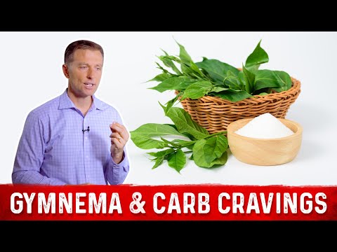 Gymnema Herb the Best Herb for Sugar Carb Carving