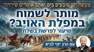 האם מותר לשמוח במפלת רשעים? / שיעור לפרשת בשלח עם הרב יוני לביא (הרב יוני לביא) - התמונה מוצגת ישירות מתוך אתר האינטרנט יוטיוב. זכויות היוצרים בתמונה שייכות ליוצרה. קישור קרדיט למקור התוכן נמצא בתוך דף הסרטון