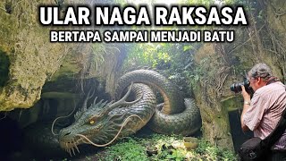 Download lagu Viral !! Ular Naga Raksasa Bertapa Ratusan Tahun Sampai Menjadi Batu mp3 Download lagu Viral !! Ular Naga Raksasa Bertapa Ratusan Tahun Sampai Menjadi Batu mp3