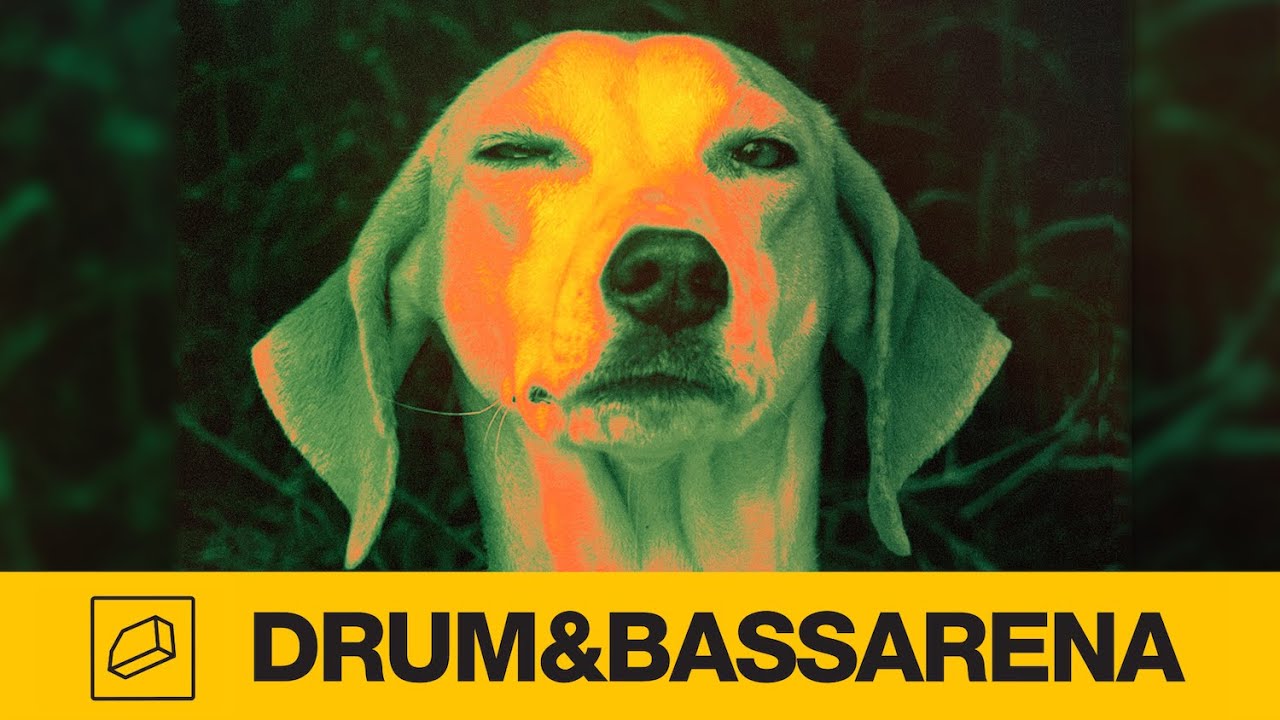 Dub Elements - Parasites (ft. Rider Shafique)