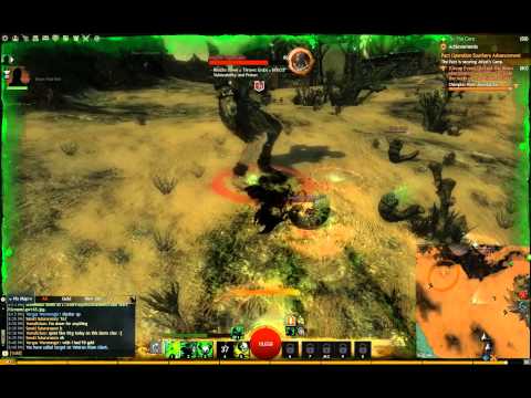 Guild Wars 2 - Zerk Necro vs Veteran Risen Giant