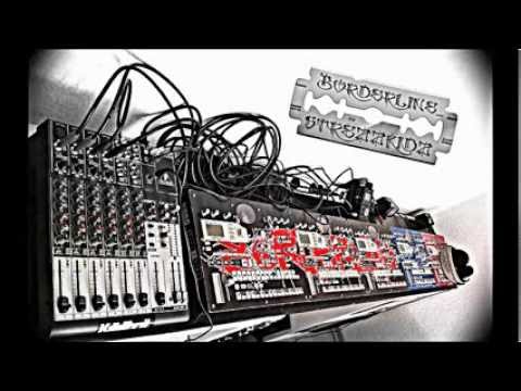 Borderline Live - Altes Ziehwerk Delitzsch 31.08.2013