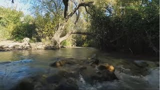 preview picture of video 'Ruta hasta Benahaoma por el río Majaceite El Bosque, Cádiz'