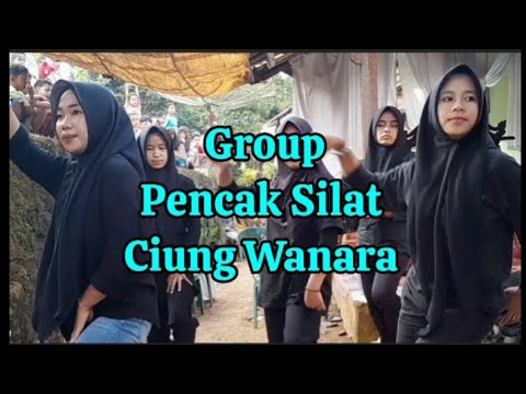 Group Pencak Silat Ciung Wanara