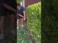 Neighbor feud #lawncare #lawnmaintenance #lawn #overgrown #landscaping #landscape #grasscutting￼