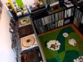 Pappenheimer S Vierter Advents Mix 2011 Hardtechno