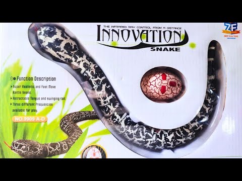 Remote control Rattle Snake Toy unboxing video