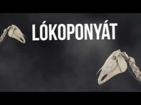 Központi Hatalom - H.Péter