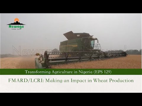 EPS 129 (2023) || FMARD/LCRI: Making an Impact in Wheat Production