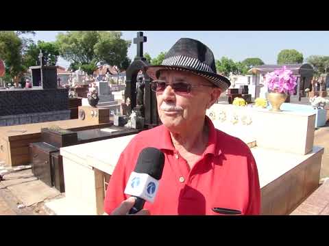Limpeza de túmulos deve ser feita até esta quarta-feira