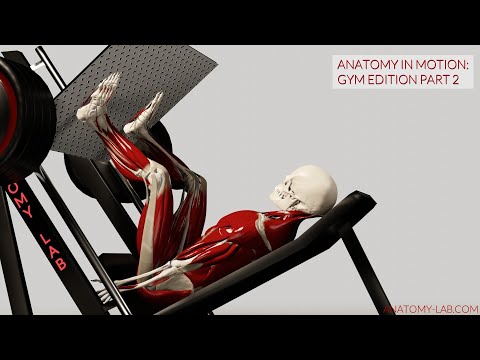 Vídeo de musculação