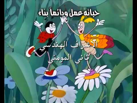 Ct dvd مقدمة مسلسل فيردي النملة الجزء الثاني