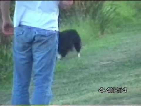 chesta-final countdown.wmv