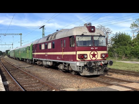 The Line Börgönd - Szabadbattyán (Nr. 44) 2023