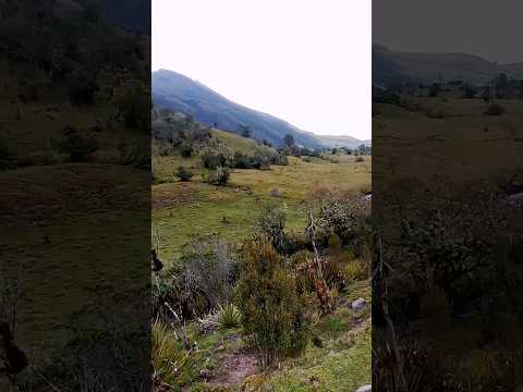 lindo paisaje bajando de la laguna del salado chitaga norte de Santander Colombia ♥️🇨🇴💯
