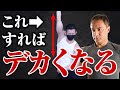 【一人でできる】筋肉を大きくするための各部位のストレッチを紹介します【筋トレ】