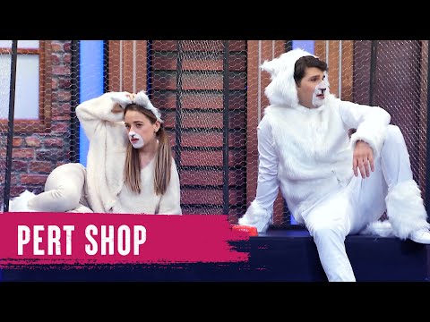 Pert Shop (95.Bölüm) - Çok Güzel Hareketler 2