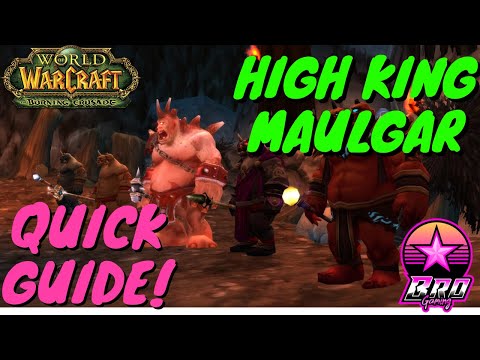 World of Warcraft: Burning Crusade Classic High King Maulgar. Super Quick Guide