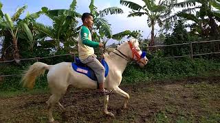 preview picture of video 'Berkuda di lafapark cikarang bekasi'