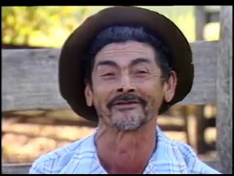 Geraldinho - Radio Story (OFFICIAL)