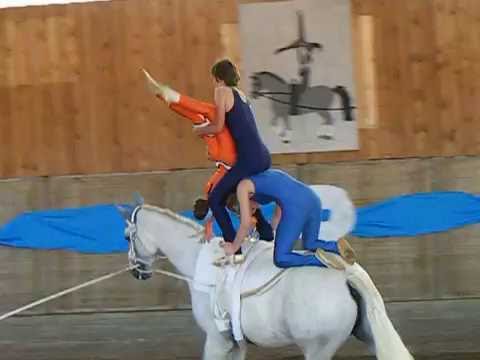 WJM Büren 2011 - Kür Coesfeld Letter Wildkatzen