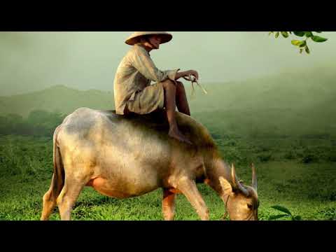 Lời kinh buồn - Lê Duy