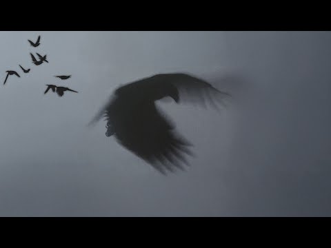 Beraat - Elde Kalan Sadece Yalnızlık (Official Video)