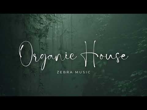 Organic House Music Mix 2023
