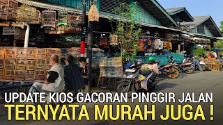 Download lagu KETEMU LAGI ! KIOS BURUNG GACORAN PINGGIR JALAN TERNYATA MURAH JUGA PASAR BURUNG PRAMUKA HARI INI mp3 Download lagu KETEMU LAGI ! KIOS BURUNG GACORAN PINGGIR JALAN TERNYATA MURAH JUGA PASAR BURUNG PRAMUKA HARI INI mp3