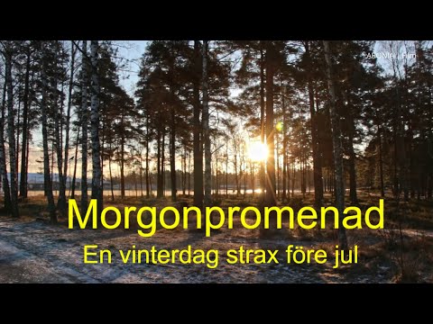 2021-12-21 MORGONPROMENAD - En vinterdag strax före jul