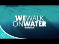 Shonlock - We Walk on Water (Lyric Video)