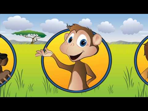 Wild Animals Sounds Video