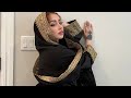 MS SETHI OFFICIAL Sethivlogs Ms Watchnow Instagram Shorts Video Watchnow